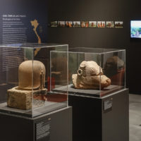 Vitrinen mit Steinobjekten in einer Ausstellung
