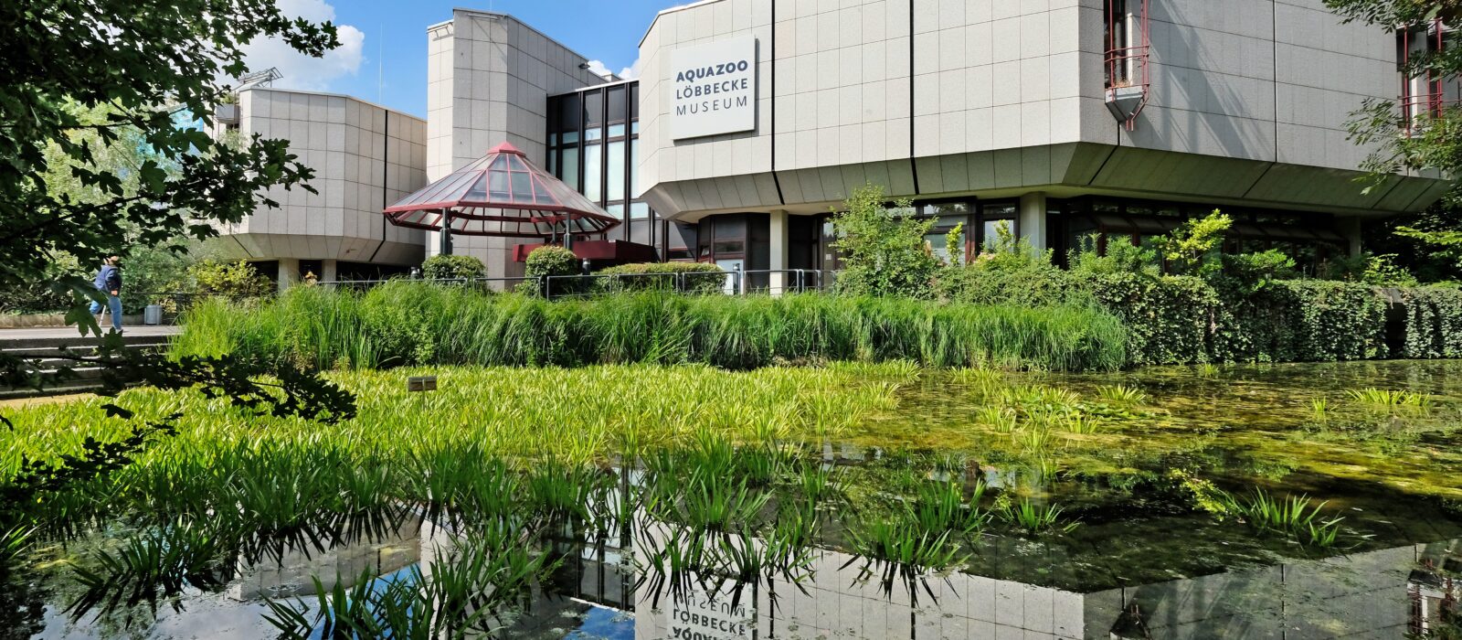 Modernes Museumsgebäude / im Vordergrund Wasser mit vielen grünen Pflanzen / Im Hintergund strahlend blauer Himmel