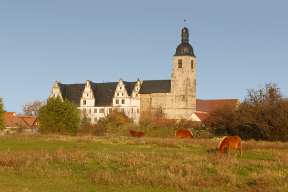 Ansicht Schloss Leitzkau