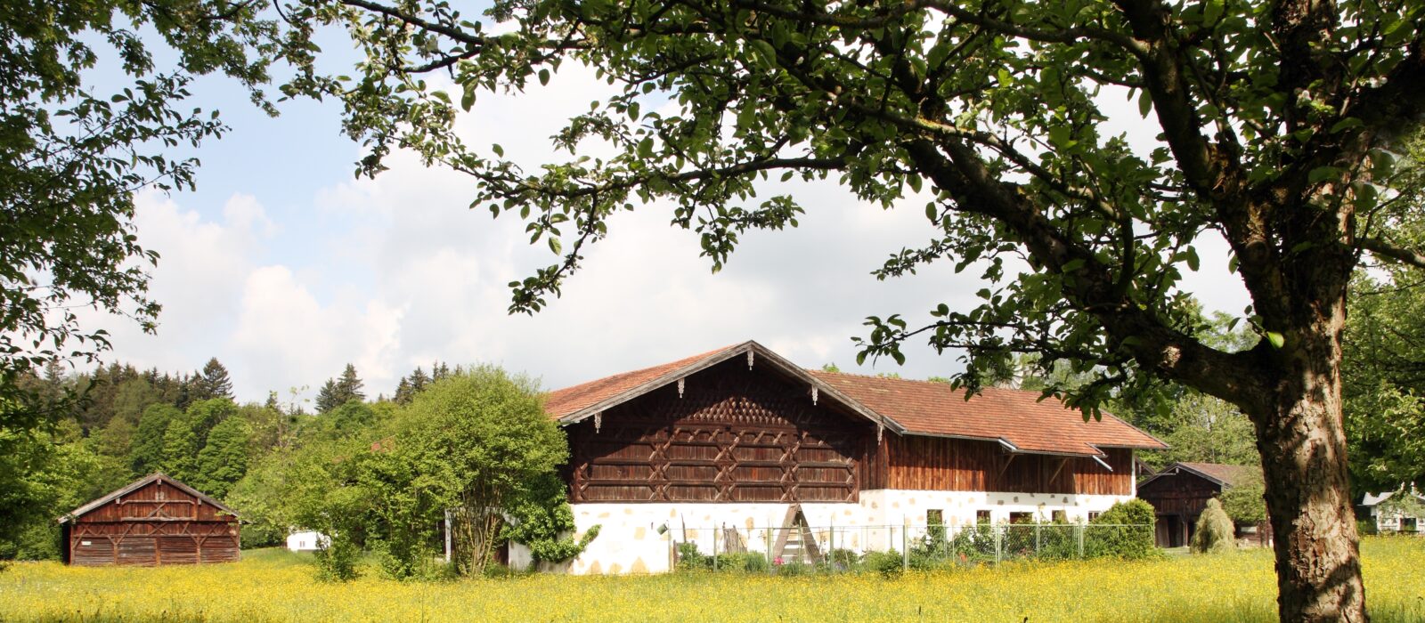 Museumsgebäude / Ausßenansicht / Bauernhaus